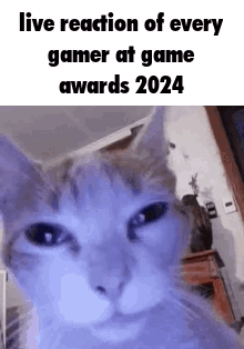 A Cat Is Looking At The Camera With A Live Reaction Of Every Gamer At Game Awards 2024 . GIF
