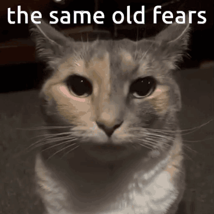 A Cat Is Looking At The Camera With The Words `` The Same Old Fears '' Written Above It . GIF