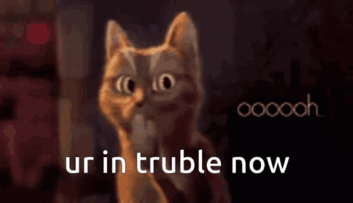 A Cat Is Looking At The Camera With The Words Ur In Trouble Now Written Below It GIF