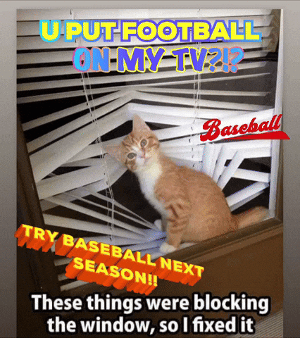 A Cat Is Looking Out Of A Window With The Words " U Put Football On My Tv ? " GIF