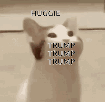 A Cat Is Making A Funny Face With Its Mouth Open And Says Trump Trump Trump . GIF
