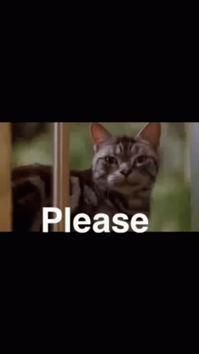 A Cat Is Peeking Out From Behind A Door With The Word Please Written On It . GIF