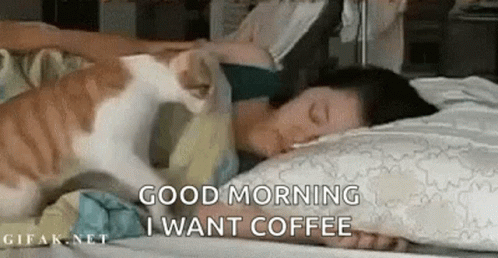 A Cat Is Petting A Woman 'S Head While She Is Sleeping On A Bed . GIF
