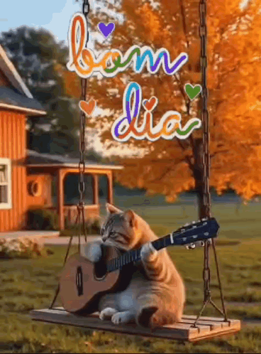 A Cat Is Playing A Guitar On A Swing . GIF