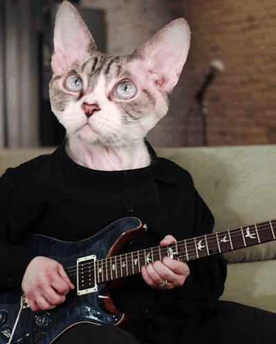 a cat is playing a guitar with the letters psr on the neck