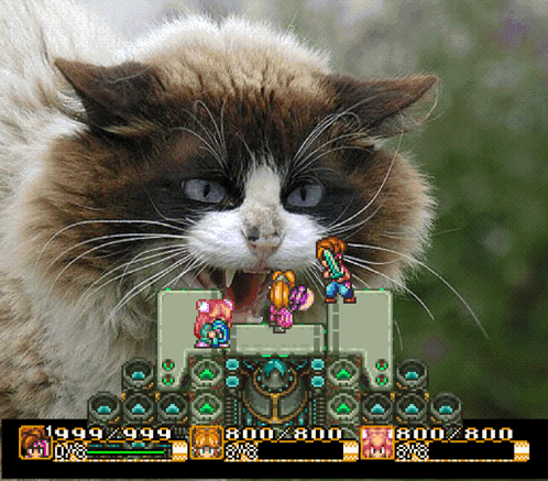 A Cat Is Playing A Video Game With The Numbers 800 And 800 On The Screen GIF