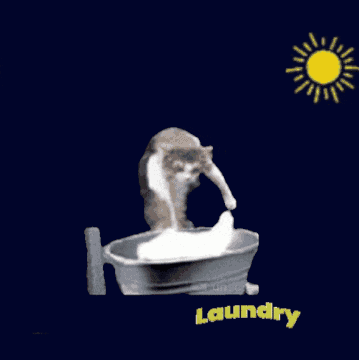 A Cat Is Playing In A Laundry Bucket With The Sun Behind It GIF