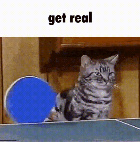 A Cat Is Playing Ping Pong With A Blue Ball And The Text Get Real GIF