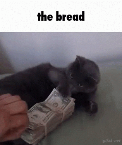 A Cat Is Playing With A Stack Of Money And The Words The Bread Are Above It GIF