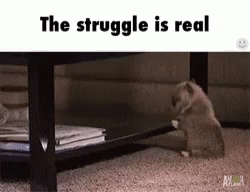 A Cat Is Playing With A Stick Under A Table With The Words `` The Struggle Is Real '' Above It . GIF