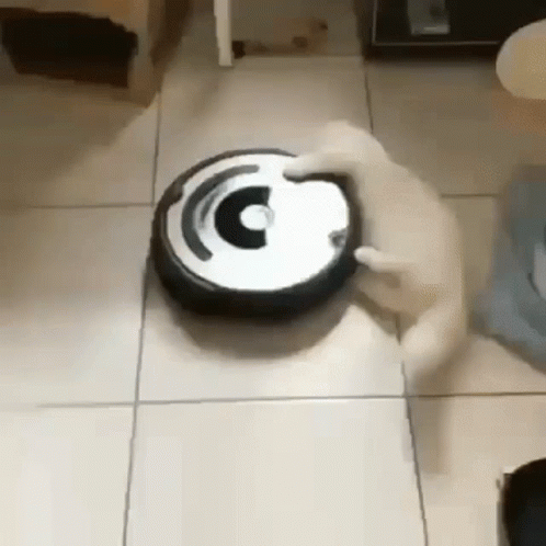 A Cat Is Playing With A Vacuum Cleaner On A Tiled Floor . GIF