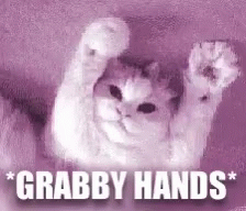 A Cat Is Raising Its Paws In The Air With The Words `` Grabby Hands '' Written Below It . GIF