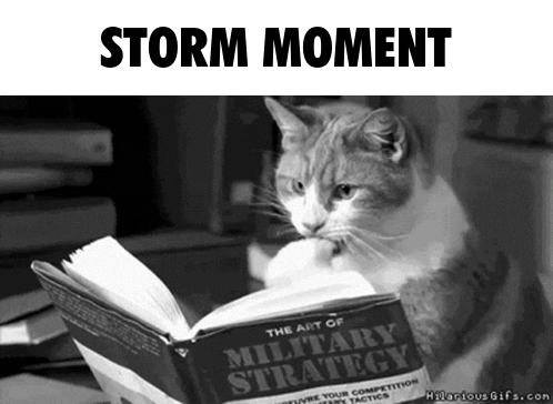 A Cat Is Reading The Art Of Military Strategy Book GIF