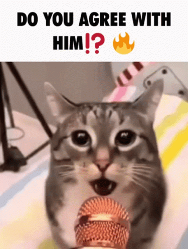 A Cat Is Singing Into A Microphone With The Caption Do You Agree With Him ? GIF