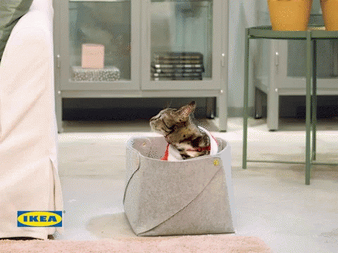 a cat is sitting in a basket with ikea written on it