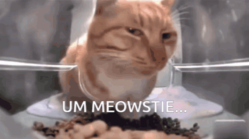 A Cat Is Sitting In A Bowl Of Food With The Words Um Meowstie Written Above It GIF