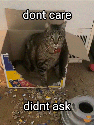 A Cat Is Sitting In A Cardboard Box That Says Dont Care GIF