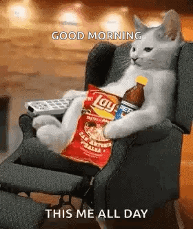 A Cat Is Sitting In A Chair Holding A Bag Of Lays Chips And A Bottle Of Pepsi . GIF