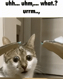 A Cat Is Sitting In A Chair With The Words Uhh Uhm What Urrm Written Below It GIF