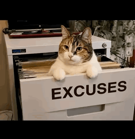 A Cat Is Sitting In A Filing Cabinet That Says Excuses GIF