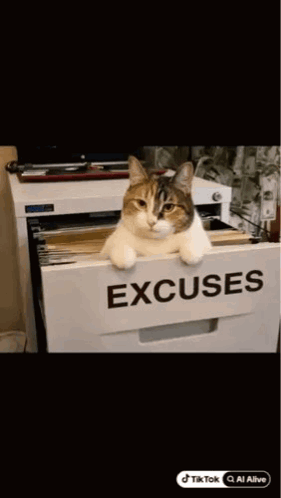 A Cat Is Sitting In A Filing Cabinet With The Word Excuses On It GIF