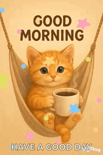 A Cat Is Sitting In A Hammock Holding A Cup Of Coffee And Saying Good Morning . GIF