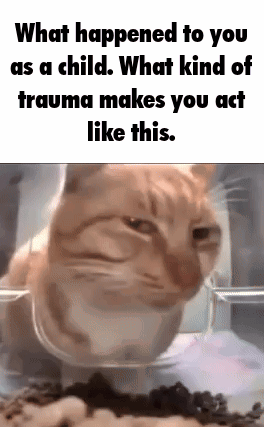 A Cat Is Sitting In A Plastic Container With Food And A Caption That Says What Happened To You As A Child . GIF