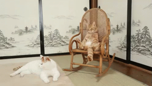 A Cat Is Sitting In A Rocking Chair Next To A White Cat GIF