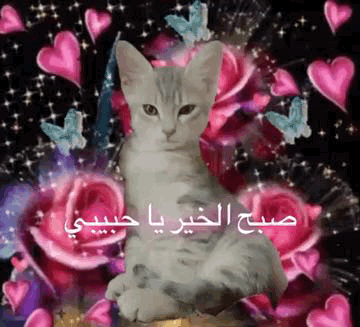 A Cat Is Sitting In Front Of A Bunch Of Flowers And Butterflies . GIF