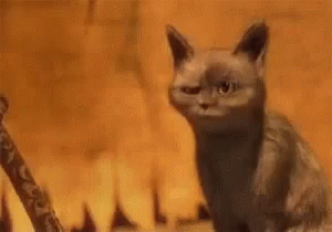 A Cat Is Sitting In Front Of A Fire With The Words `` Ohh '' Written In The Background . GIF