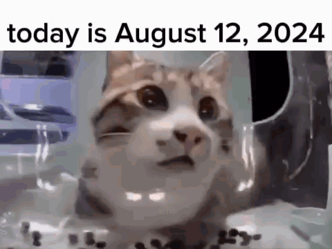 A Cat Is Sitting In Front Of A Glass With The Date Of August 12 2024 Written On It . GIF