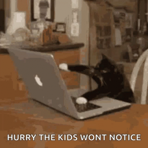 A Cat Is Sitting In Front Of A Laptop Computer With The Words `` Hurry The Kids Wont Notice '' Written Below It . GIF