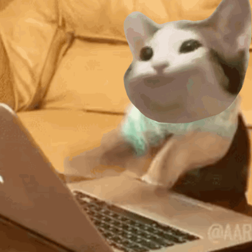 A Cat Is Sitting In Front Of A Laptop With A Picture Of A Cat On It GIF
