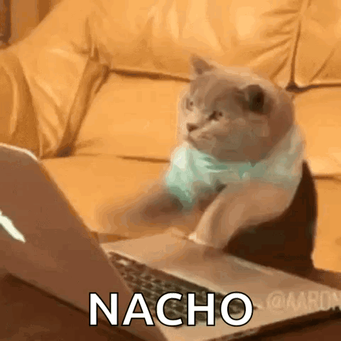 A Cat Is Sitting In Front Of A Laptop With The Word Nacho On The Screen . GIF