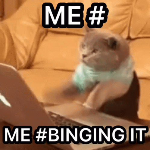 A Cat Is Sitting In Front Of A Laptop With The Words Me # Me # Binging It GIF