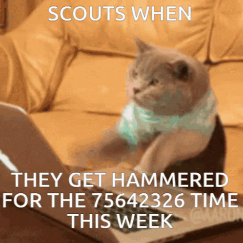A Cat Is Sitting In Front Of A Laptop With The Words Scouts When They Get Hammered GIF