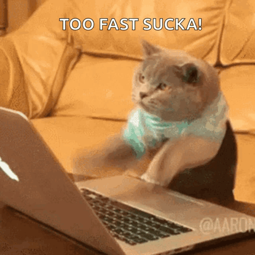 A Cat Is Sitting In Front Of A Laptop With The Words Too Fast Sucka Written Above It GIF