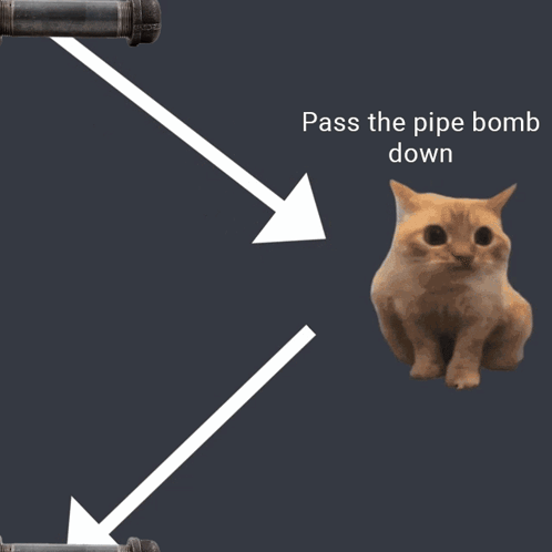 A Cat Is Sitting In Front Of A Pipe With The Words Pass The Pipe Bomb Down Above It GIF