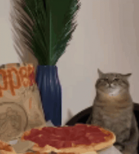 A Cat Is Sitting In Front Of A Pizza And A Bag Of Mcdonald 'S Nuggets GIF