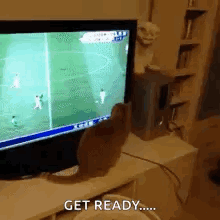 a cat is sitting in front of a television with the words get ready written on it .