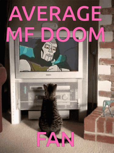 Cat Sitting In Front Of TV Average MF Doom Fan GIF