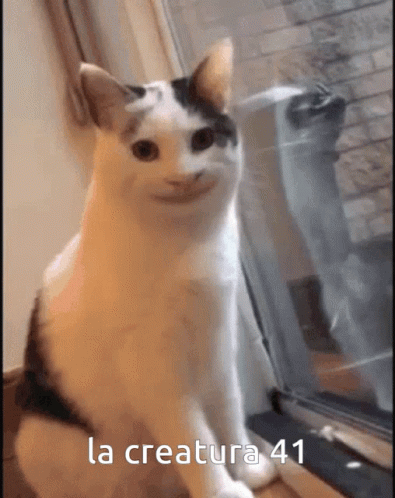 A Cat Is Sitting In Front Of A Window With The Words La Creatura 41 Written On The Bottom GIF