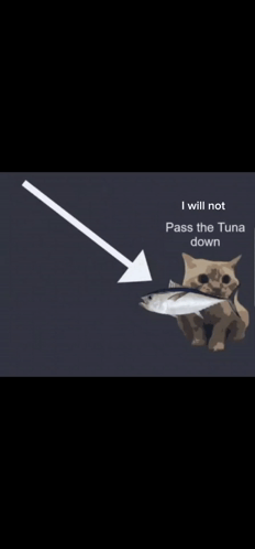 A Cat Is Sitting In Front Of An Arrow Pointing Down To A Tuna . GIF