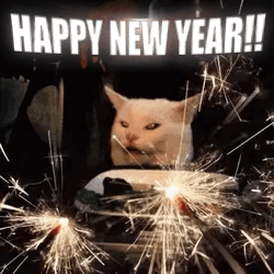 A Cat Is Sitting In Front Of Sparklers With The Words `` Happy New Year ! '' GIF