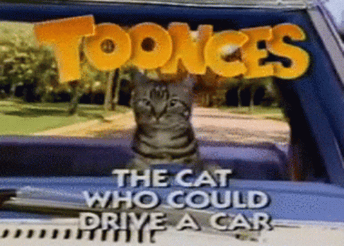 A Cat Is Sitting In The Back Of A Car With The Words " Toonces " Above It GIF