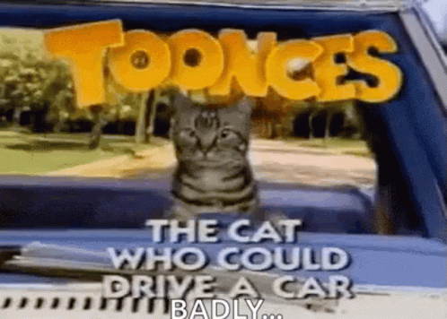A Cat Is Sitting In The Back Seat Of A Car With The Words `` The Cat Who Could Drive A Car Badly '' . GIF