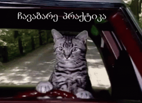 A Cat Is Sitting In The Driver 'S Seat Of A Car With Foreign Writing Behind It GIF