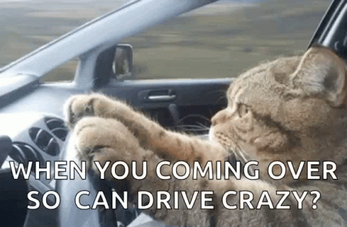 A Cat Is Sitting In The Driver 'S Seat Of A Car With The Caption When You Coming Over So Can Drive Crazy ? GIF