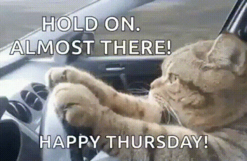 A Cat Is Sitting In The Driver 'S Seat Of A Car With The Words Hold On Almost There Happy Thursday . GIF