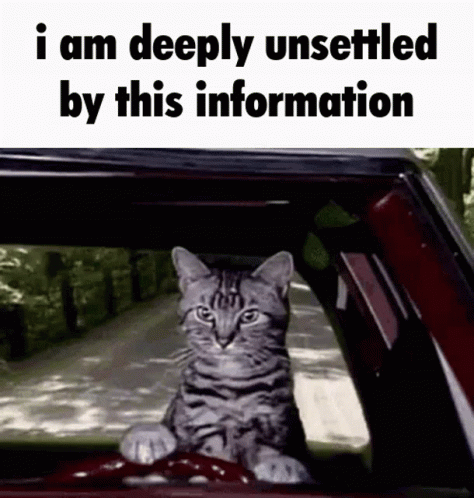 A Cat Is Sitting In The Driver 'S Seat Of A Car With The Words I Am Deeply Unsettled By This Information . GIF